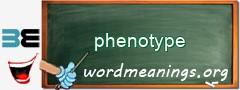 WordMeaning blackboard for phenotype